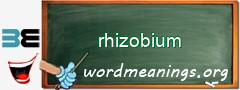 WordMeaning blackboard for rhizobium